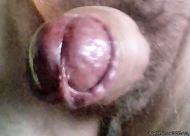 Very horny frenulum and foreskin........Love to watch !