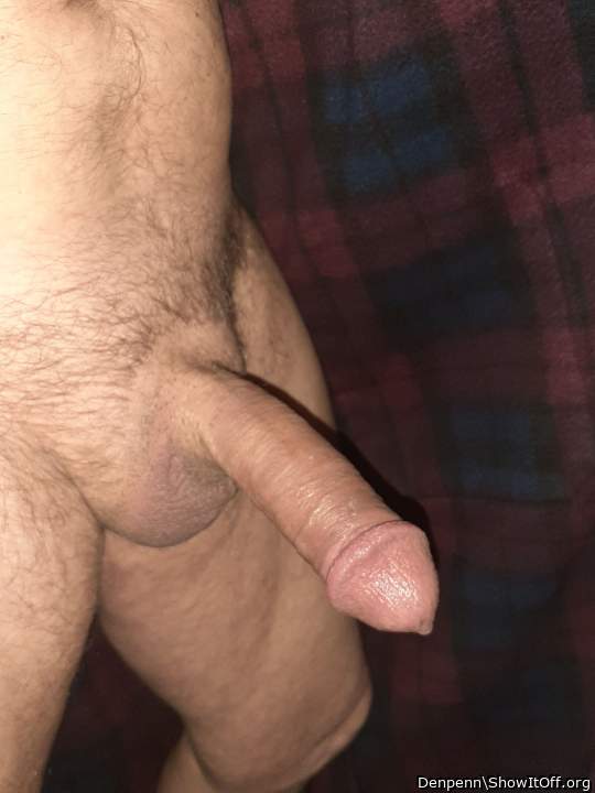 Looks ready to plunge deep into my throat and deposit cum.  