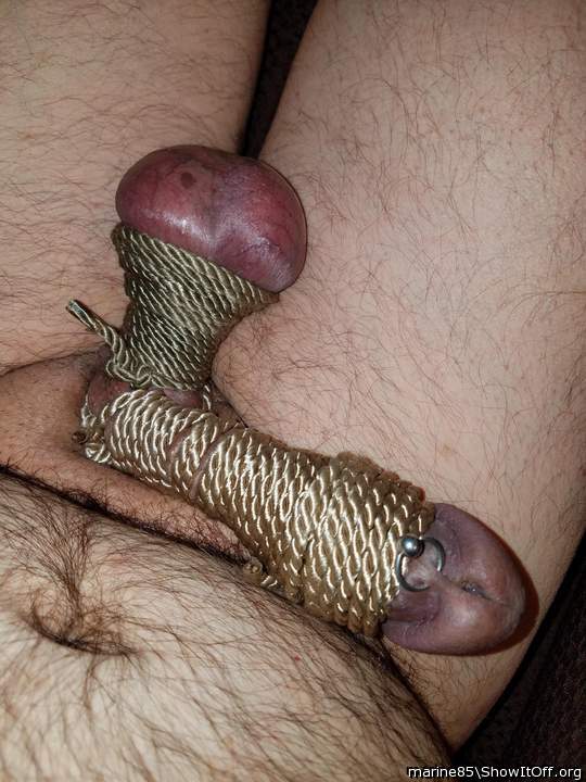 Tied cock and balls