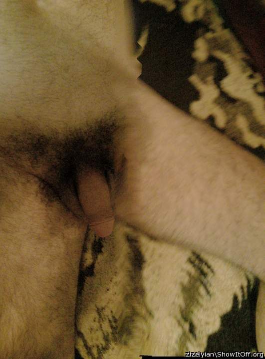 MY LOVERS COCK