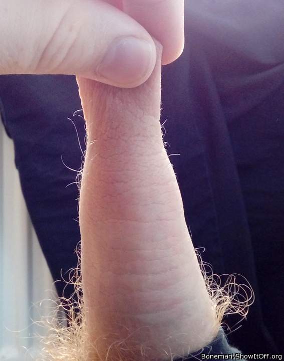 Soft Hairy Foreskin