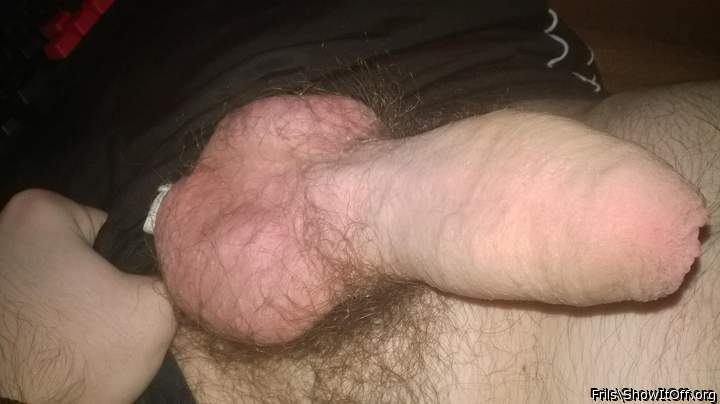 Lovely cock and balls   
