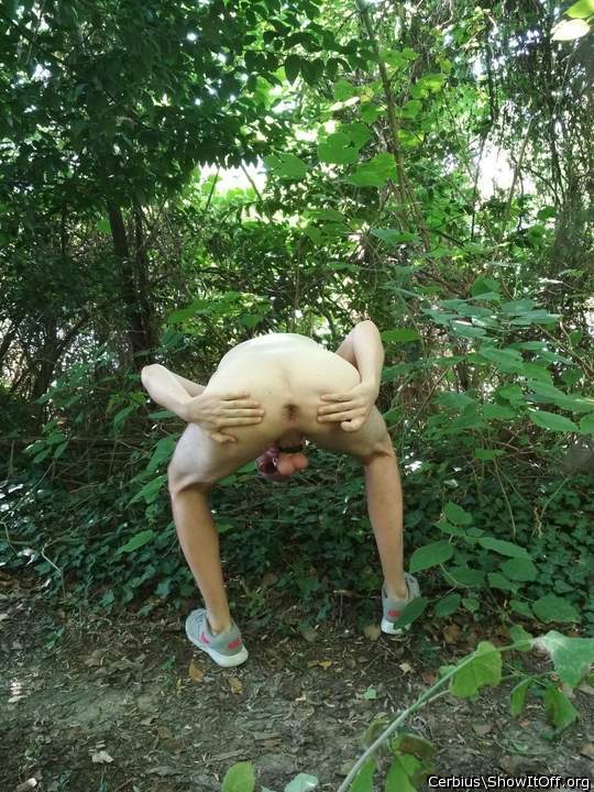Outdoor ass