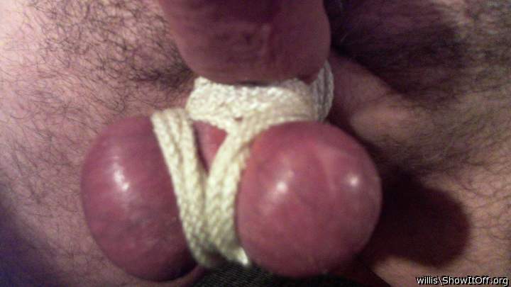 OMFG I Want to suck on them bound Balls &#128139;&#128139;  
