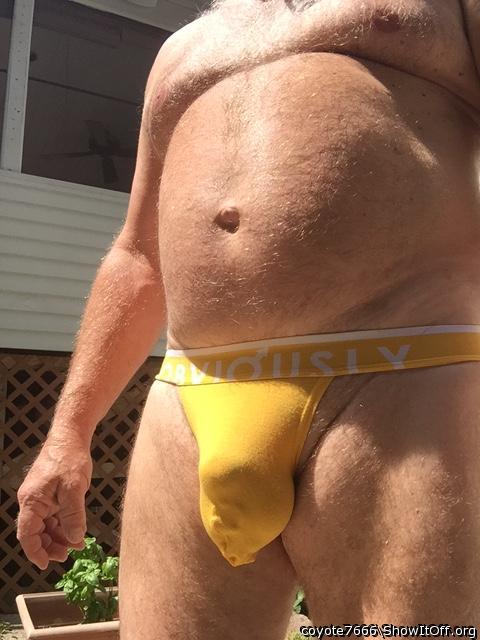 My favorite cock and undies 