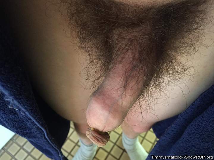 Adult image from Timmysmallcock