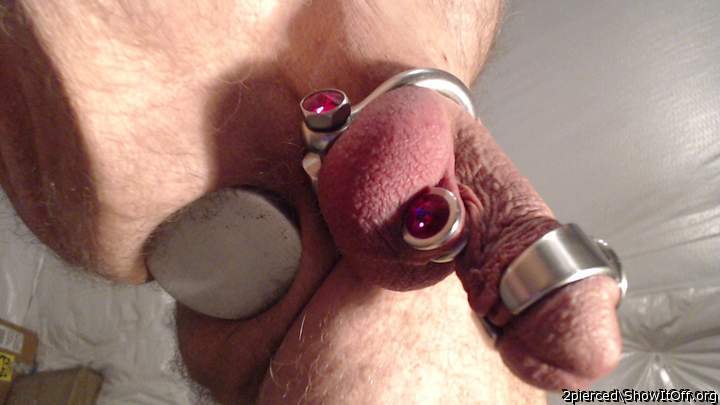 Pierced cock and plugged ass