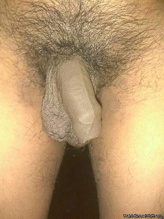 great bush and foreskin 