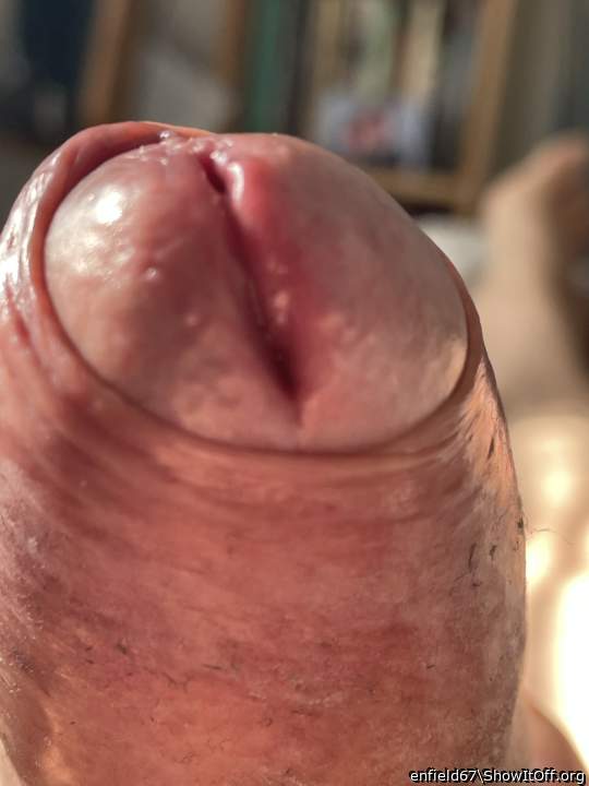 cock1