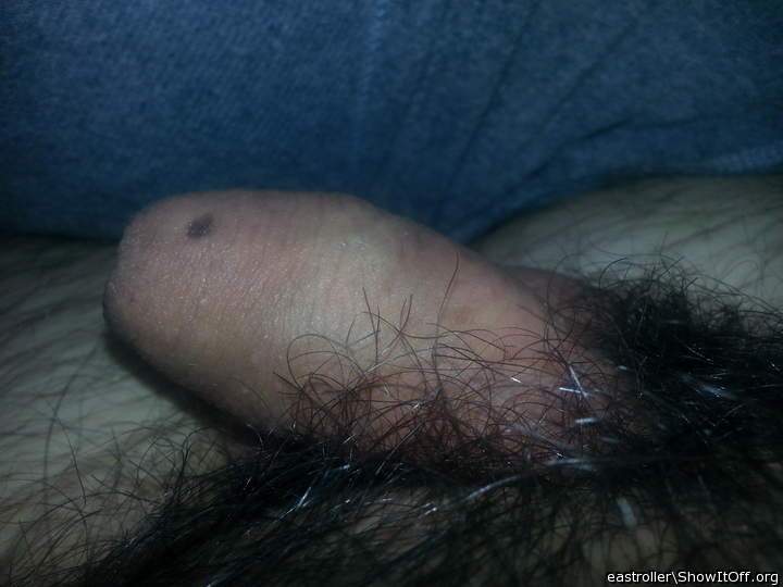 Adult image from *Humpy_Rugmuncher