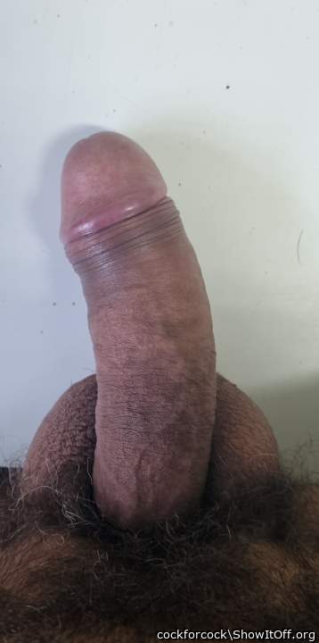 Adult image from cockforcock