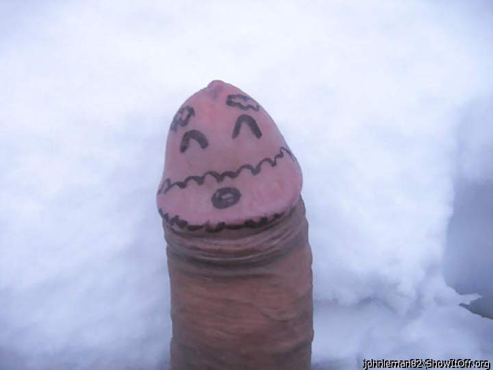 Cock in snow