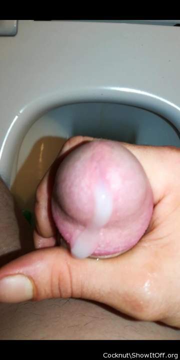 Adult image from Cocknut