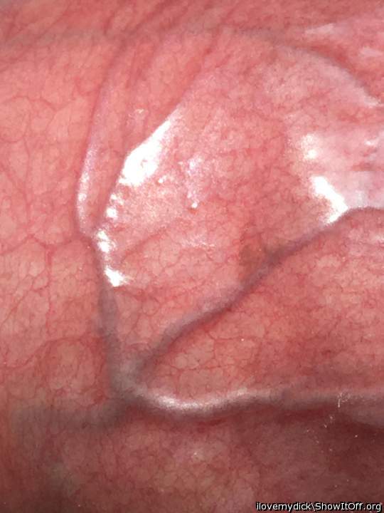 Wallpaper - The Vein On My Penis
