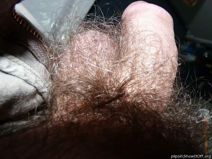   wonderful hairy crotch