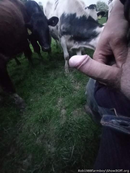 My tiny cock hard in the field