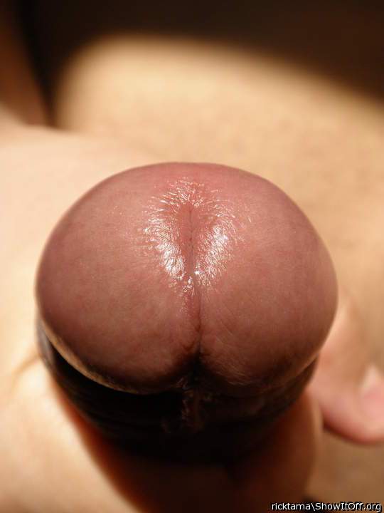 what a nice cock head! i like!  
