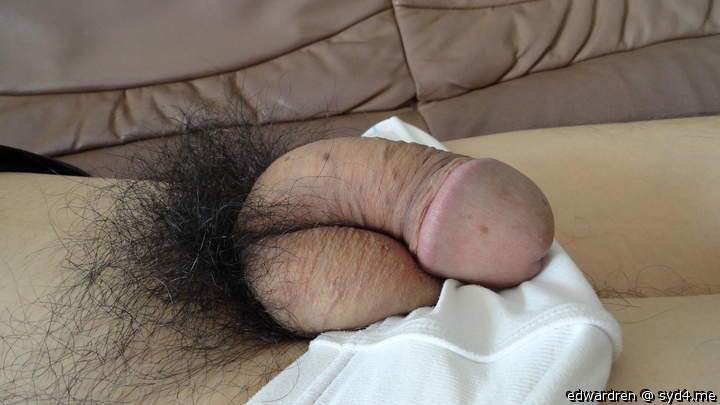 Chinese cock 160