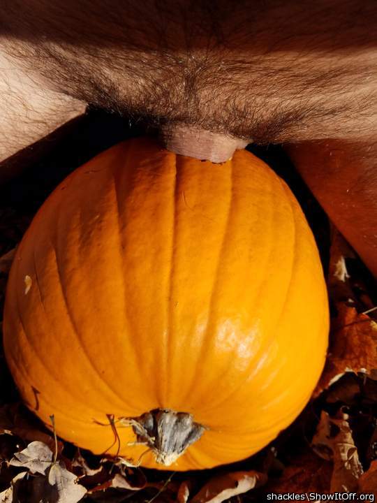 Penis poked pumpkin pie? Are you trying a new recipe out pri