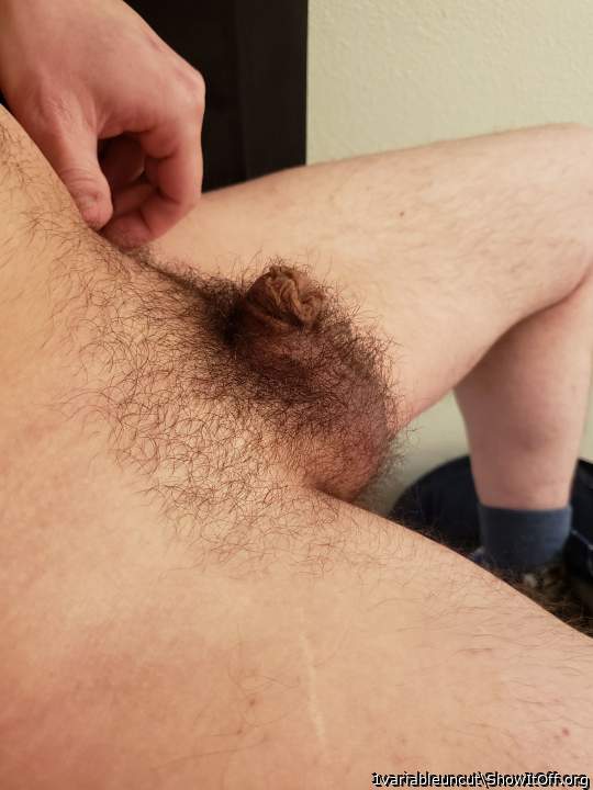 I'd love to stroke, kiss, lick and suck your lovely penis un