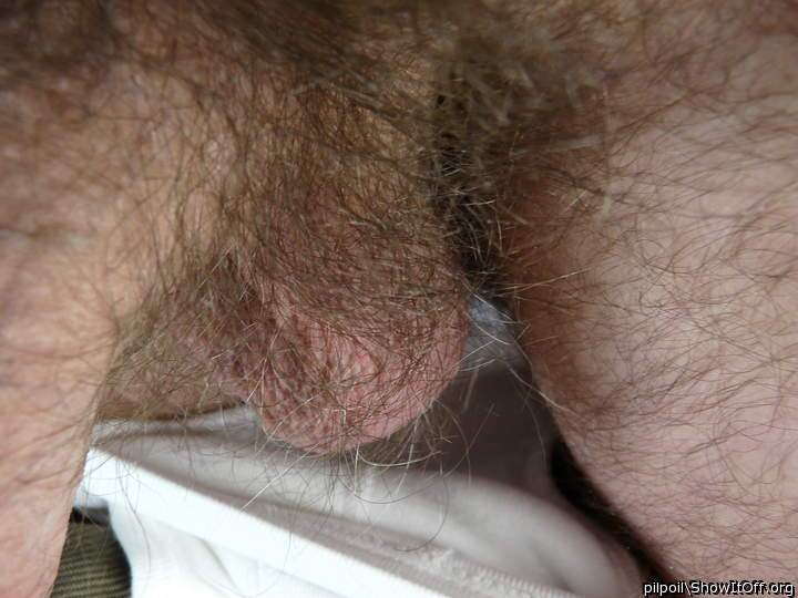 Would enjoy a mouthful of your hairy balls