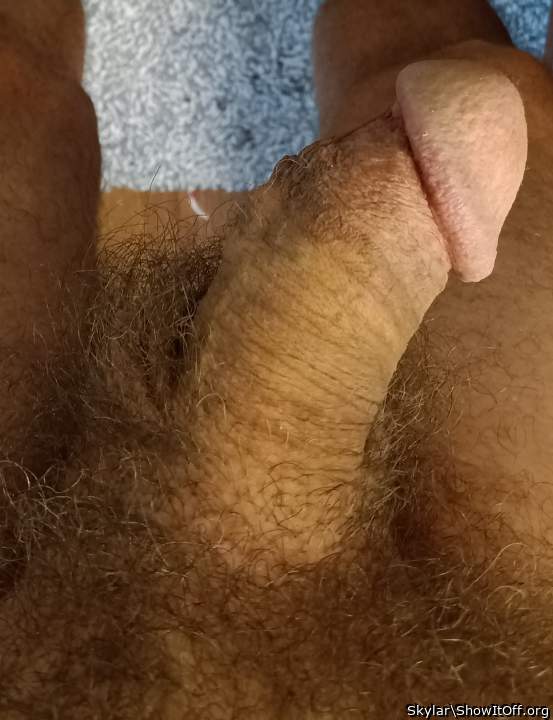My 67 year old dick