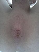 Photo of Man's Ass from xxx25