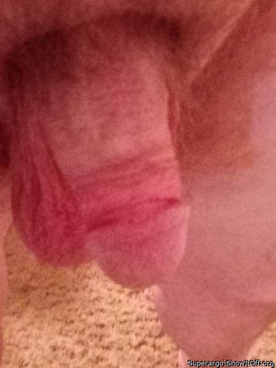 Adult image from Superargo