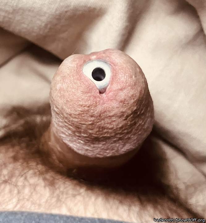 luv a plugged cock 
