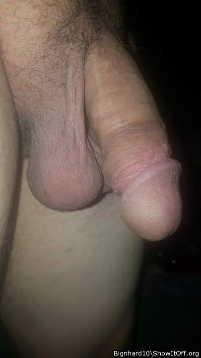 Very nice cock!