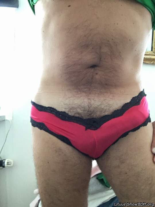 Adult image from Lituus