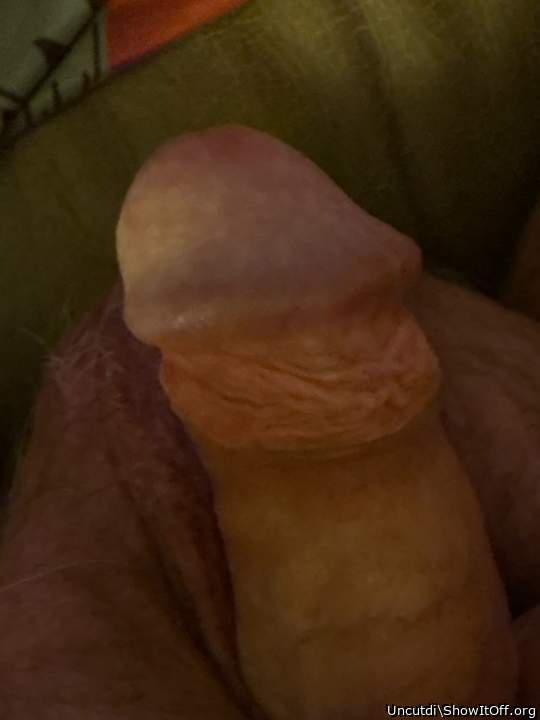 Adult image from Uncutdi