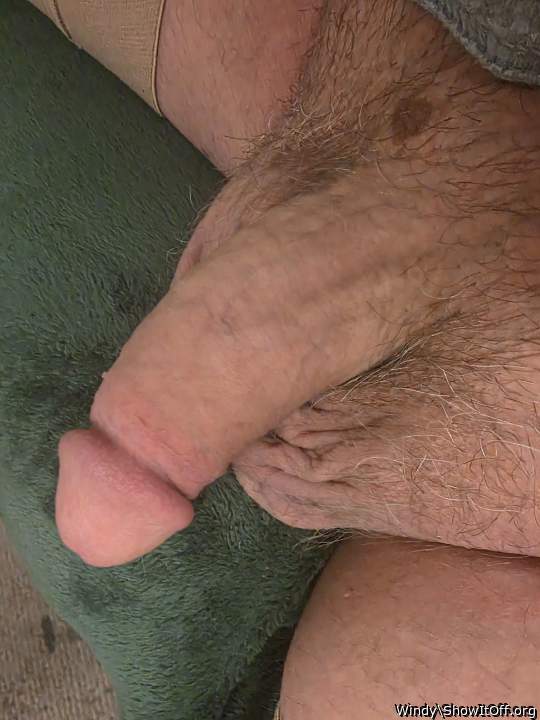 Adult image from Windy