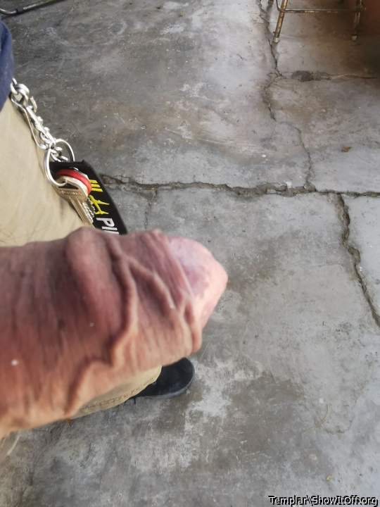 Adult image from Templar