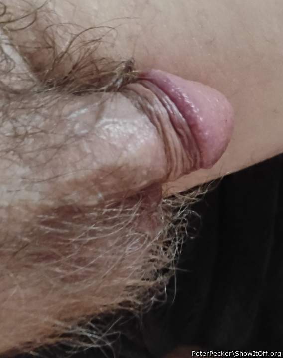Adult image from PeterPecker