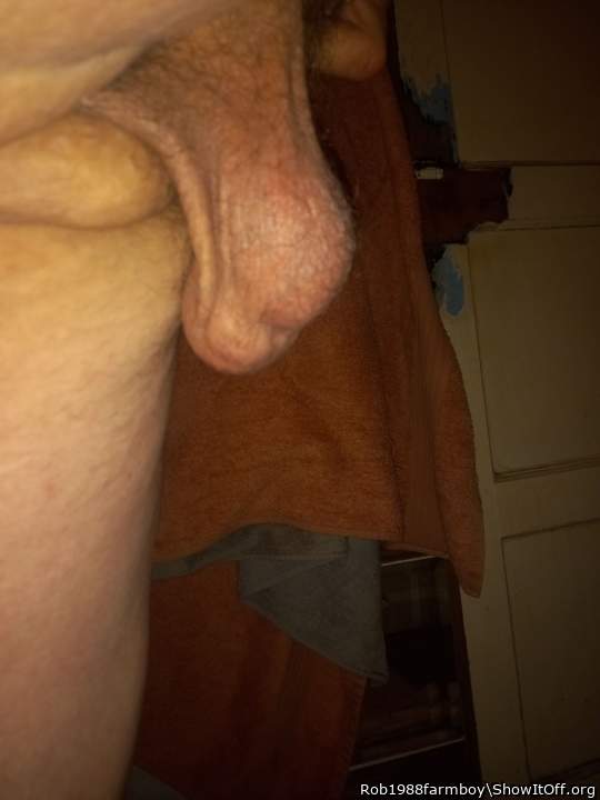 Adult image from Rob1988farmboy