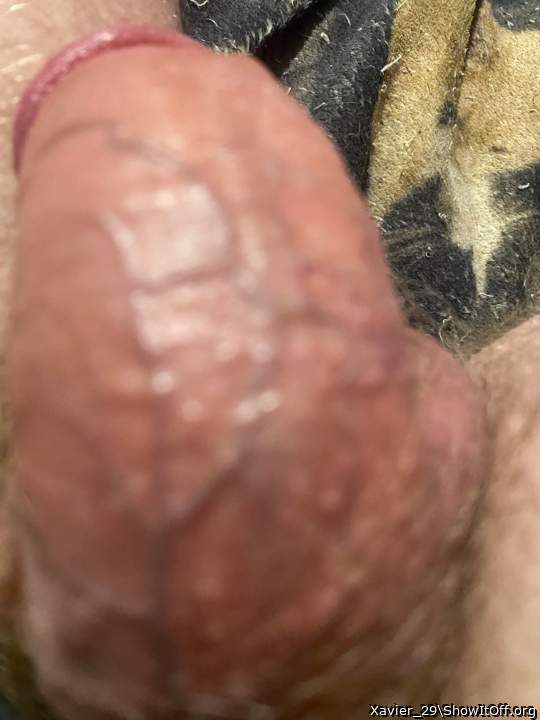 Adult image from Xavier_29