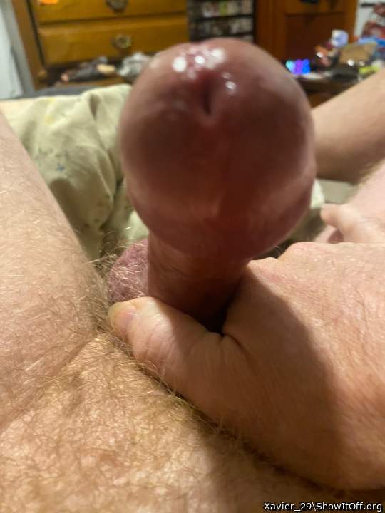 Adult image from Xavier_29