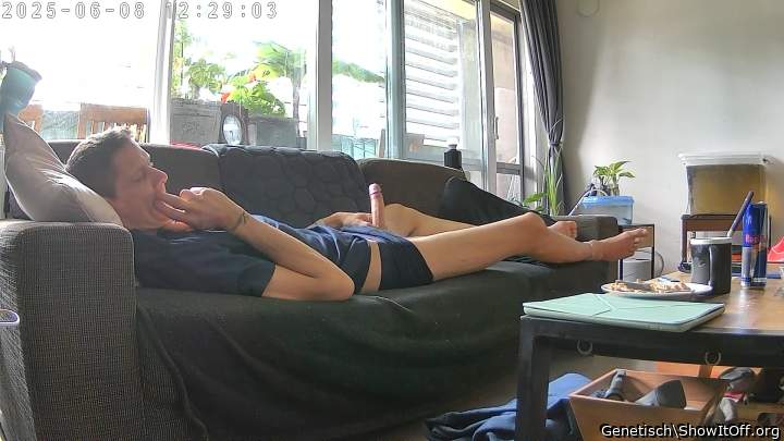 Adult image from Genetisch