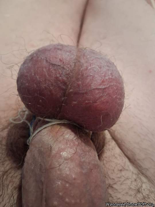 Adult image from Wannasee