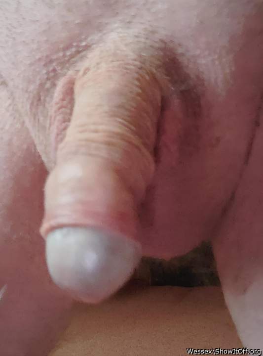 Adult image from Wessex