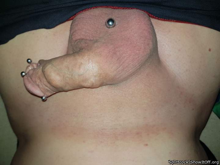 Adult image from Splittcock