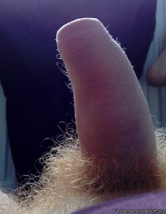 Hairy Foreskin And Pubes