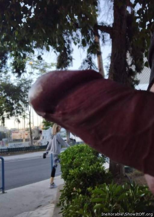 She was shy but bet her cunt very wet;)