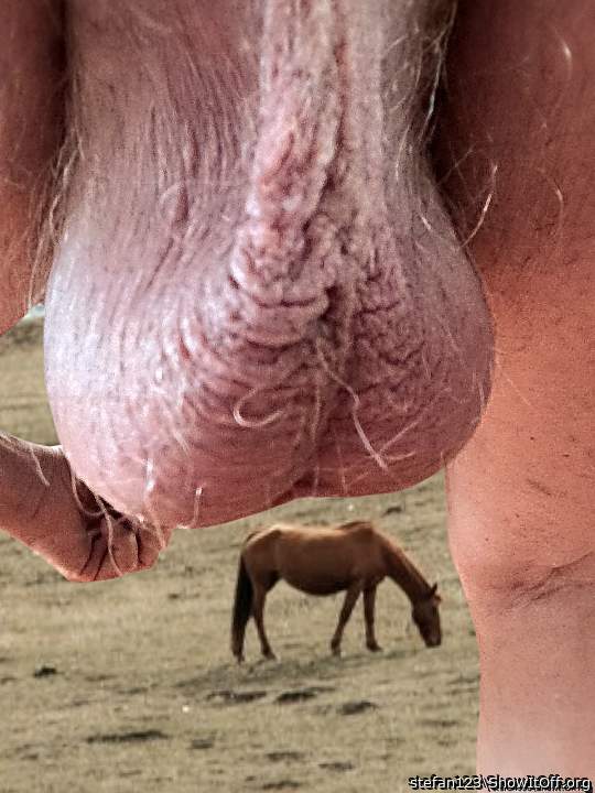 🇬🇧🏃 Jason loves Stefan wonderful 