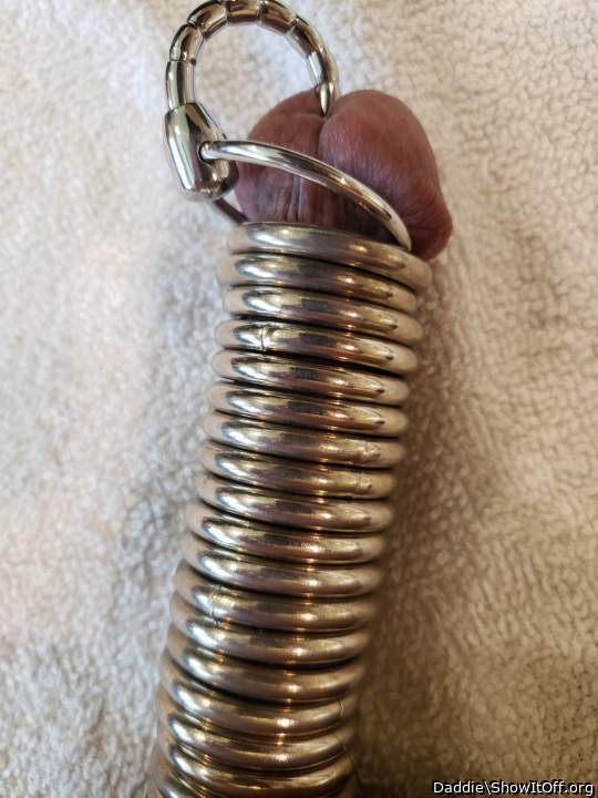 TCG Refugees, what is in Daddie Cock?