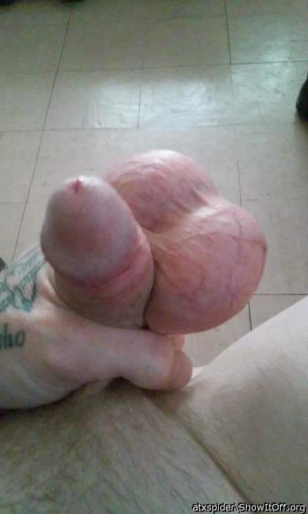 I need to bat your swollen balls around with my big pre-cum 