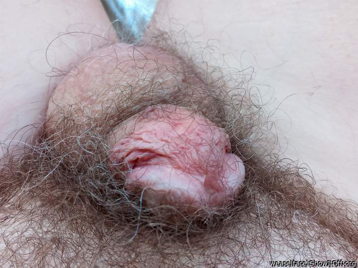 Adult image from weaselface