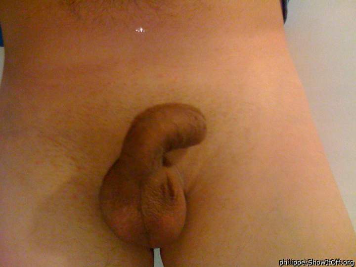 sleeping cock