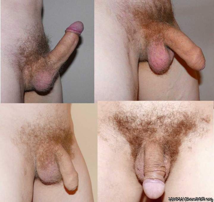 Adult image from 12HP21